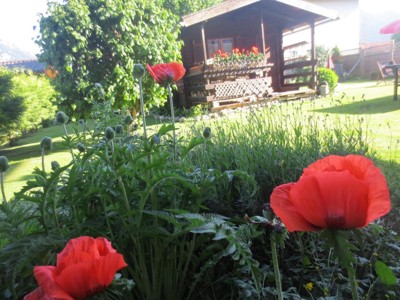 Hotel Alp Inn - Chiemgaukarte Inclusive Ruhpolding Εξωτερικό φωτογραφία